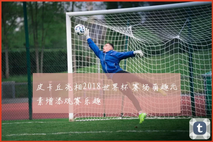 皮卡丘亮相2018世界杯 赛场萌趣元素增添观赛乐趣