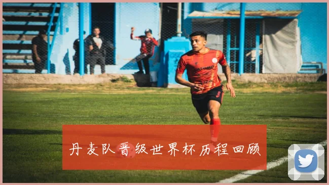 丹麦队晋级世界杯历程回顾