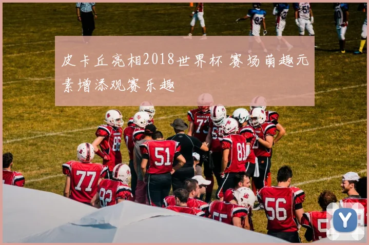 皮卡丘亮相2018世界杯 赛场萌趣元素增添观赛乐趣