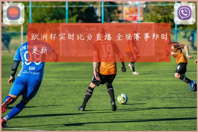欧洲杯实时比分直播 全场赛事即时更新