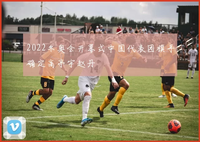 2022冬奥会开幕式中国代表团旗手确定高亭宇赵丹