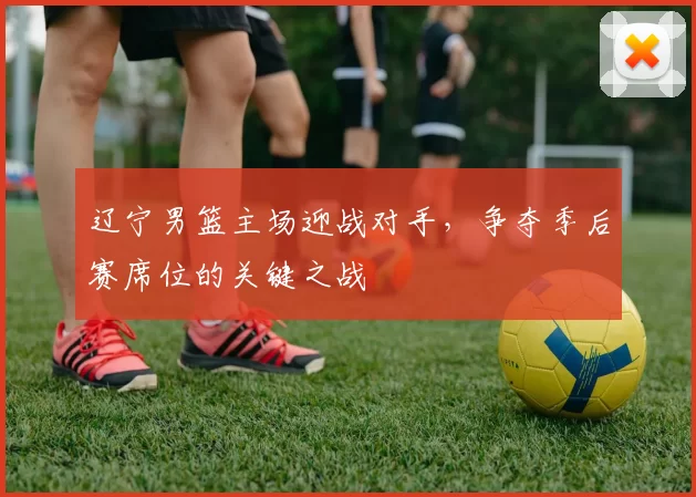 辽宁男篮主场迎战对手，争夺季后赛席位的关键之战